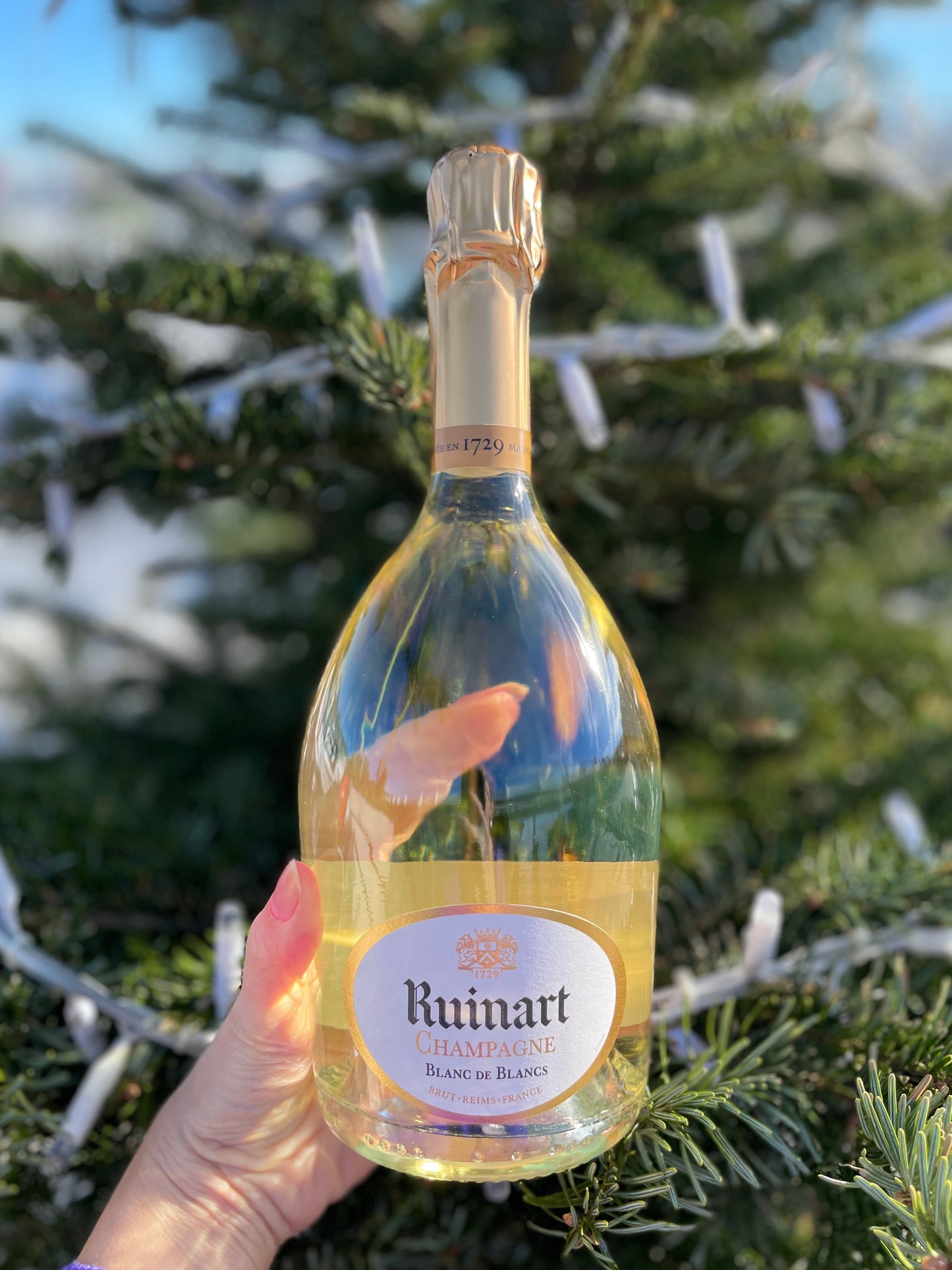 Ruinart Champagne Blanc de Blancs